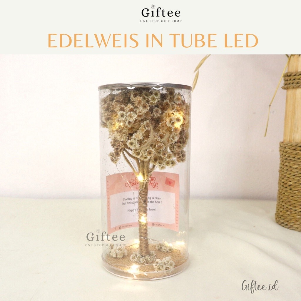 DRIED EDELWEIS IN TUBE LED BUKET MINIATUR POHON BUNGA KERING DALAM TABUNG MIKA