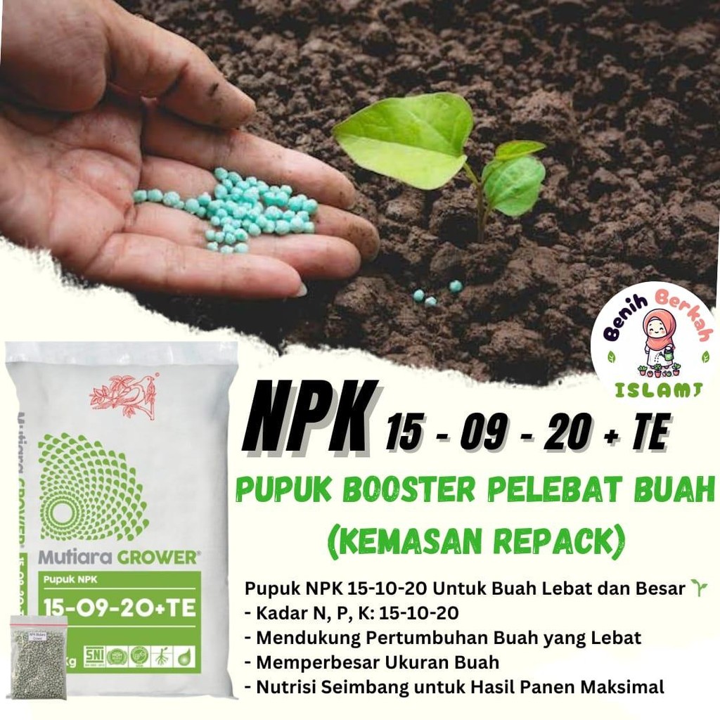 Pupuk Pelebat Buah NPK Booster Tanaman - Melebatkan dan Membesarkan Buah sawit