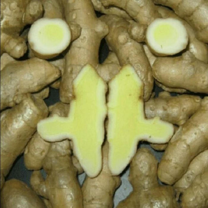 

anti kanker anti mikroba 1kg temu mangga basah organik ready READY