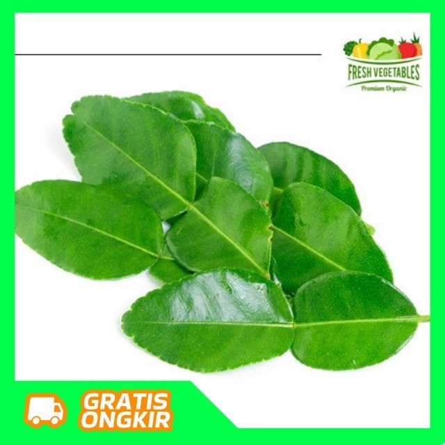 

Daun Jeruk Segar