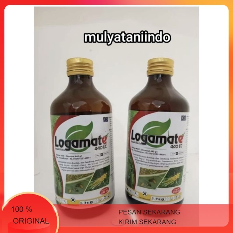 Insektisida dimetoat LOGAMATE 250 ML lalat buah