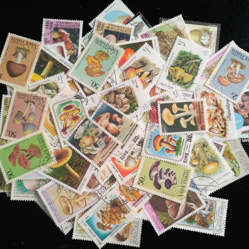 

50pcs 100Pcs mushroom Topic Stamps Original Postage Stamp with Postmark Good Condition All Different Froms World