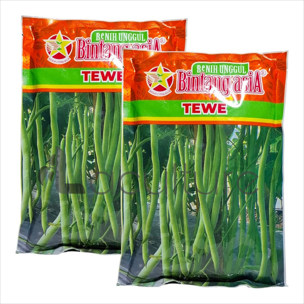 BENIH BUNCIS TEWE 500 GRAM - BINTANG ASIA