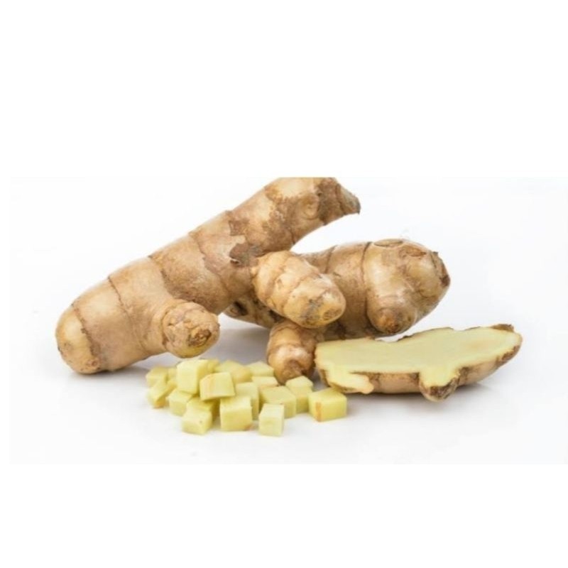 

kunyit putih fresh 1kg bersih