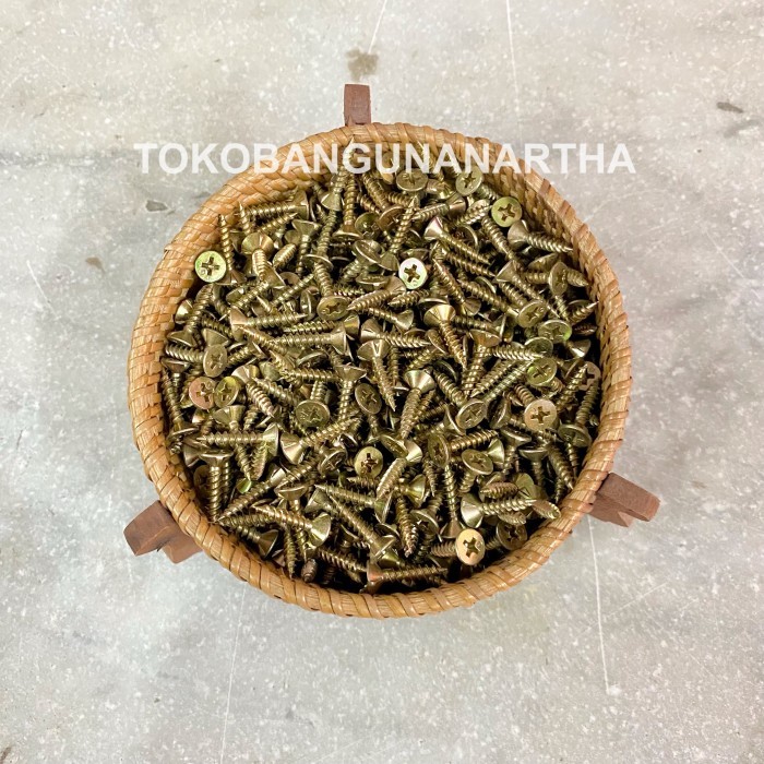 10 Pcs Skrup Kalsiboard / Skrup GRC / Skrup Kasibot / Calciboard Screw