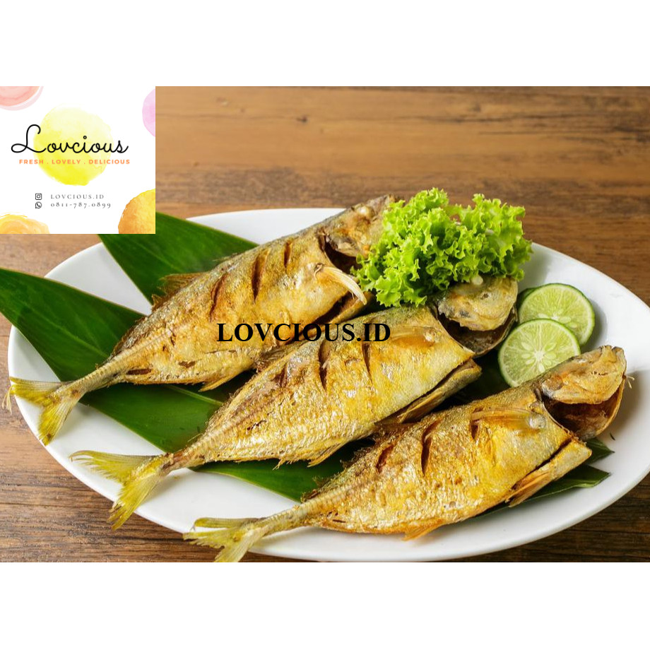 

IKAN KEMBUNG UNGKEP BUMBU KUNING / HOMEMADE / TANPA PENGAWET / MPASI - KIDS FRIENDLY