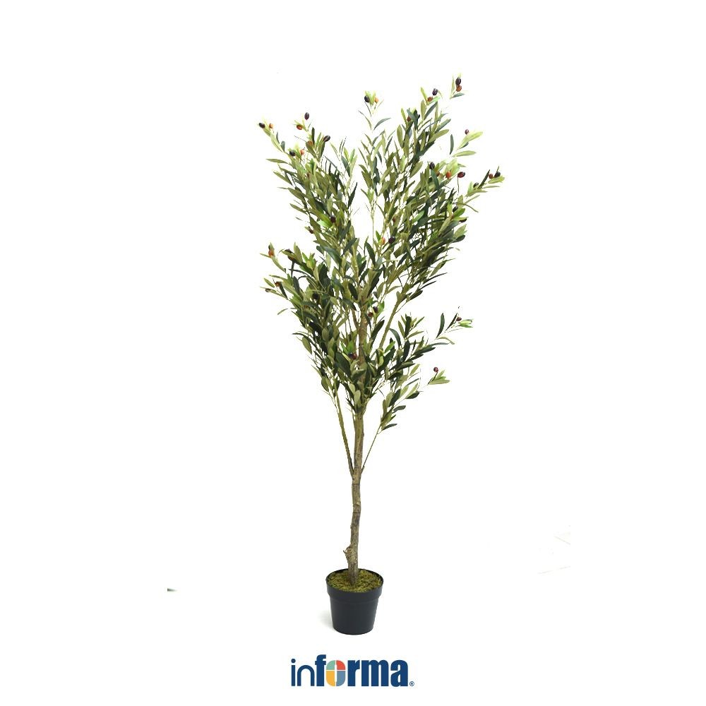 Informa 180 cm Tanaman Artifisial Olive Dengan Pot 2Kh Tumbuhan Tanaman Buatan Dekorasi Plant Sintet