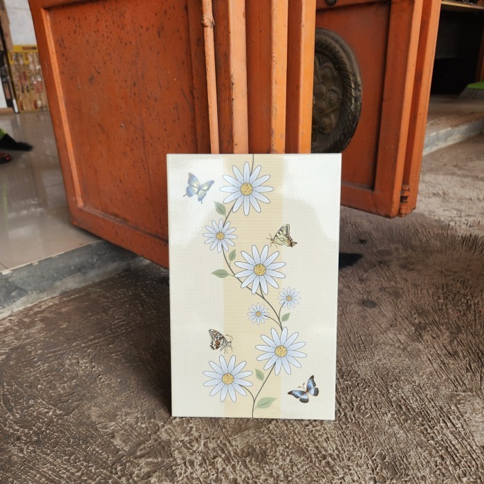 vannella yellowis 25x40 rosalia