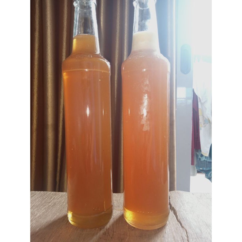 

Madu Murni - MAdu Asli - Raw Honey Nektar kayu putih 1 Botol