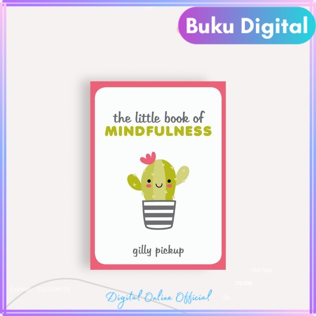 

The Little Book of Mindfulness || Gilly Pickup