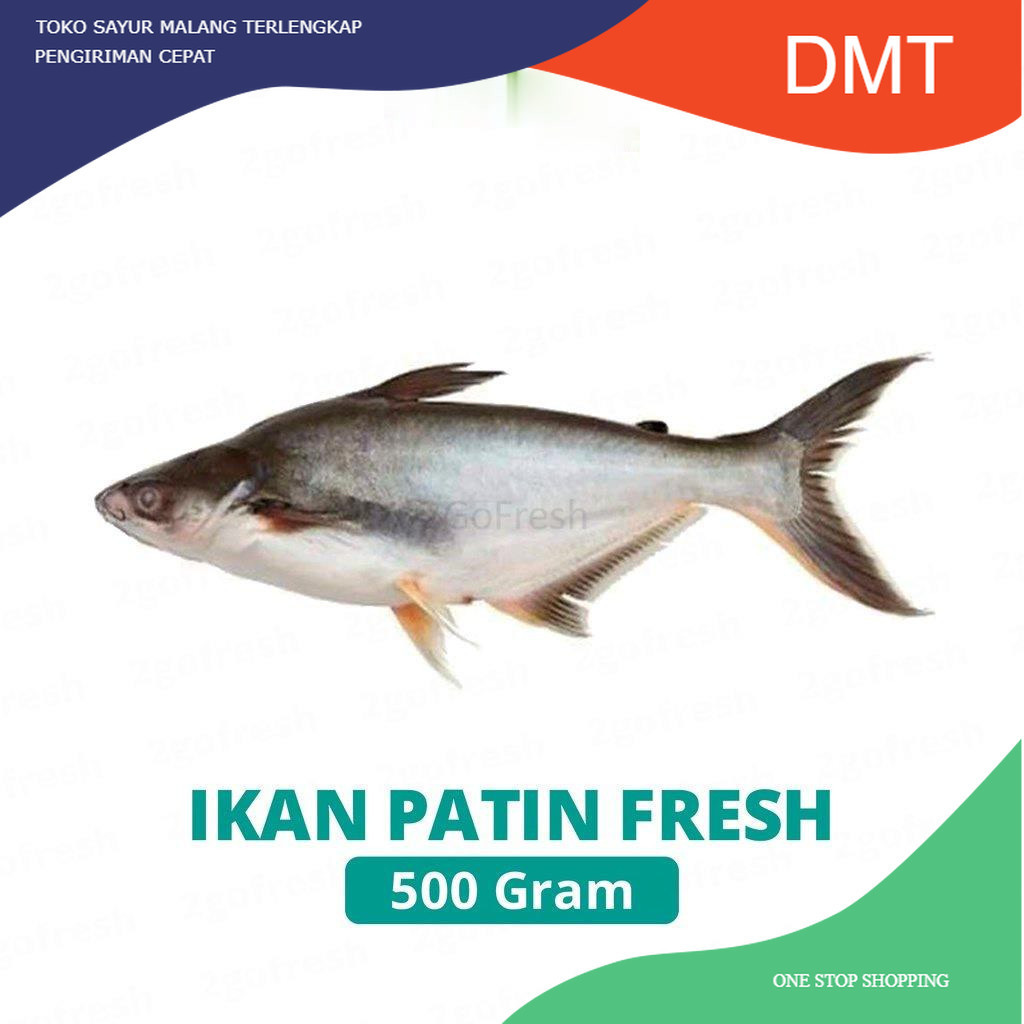 

Ikan Patin Fresh - Sayur Sayuran