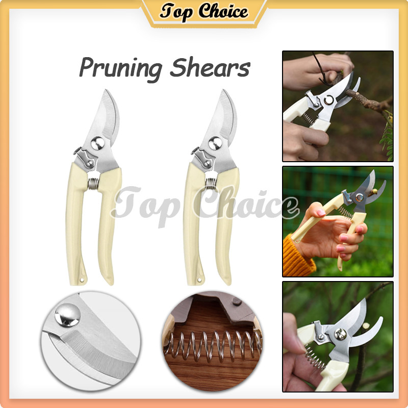 Ranting Tanaman Pruning Shears / Scissors Curve / Pruning Shears