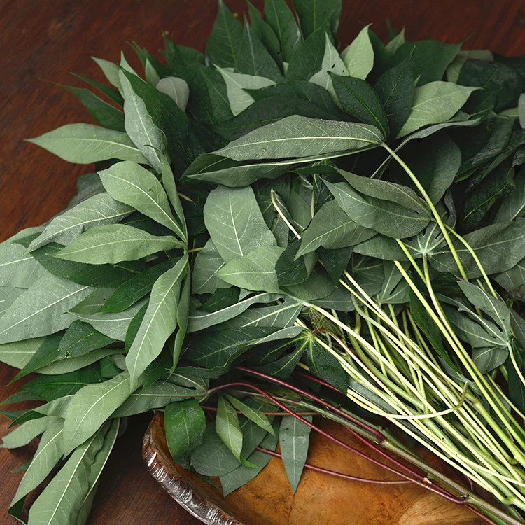 

Daun Singkong / Daun Ubi 1 Ikat - cassava leaves