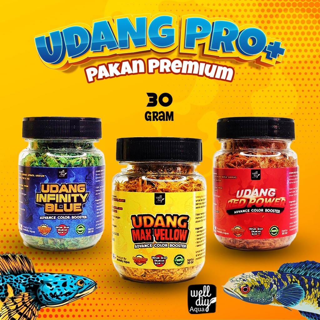 Udang Kering Pakan Ikan Channa Maru Blue Pulchra Predator