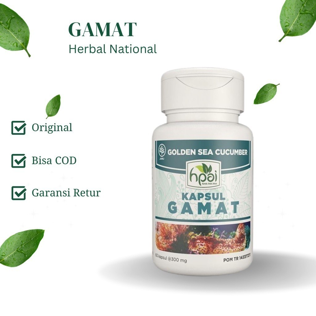 

ORIGINAL GAMAT KAPSUL Ekstrak Teripang Emas Untuk Nyeri Sendi - HNI BPOM