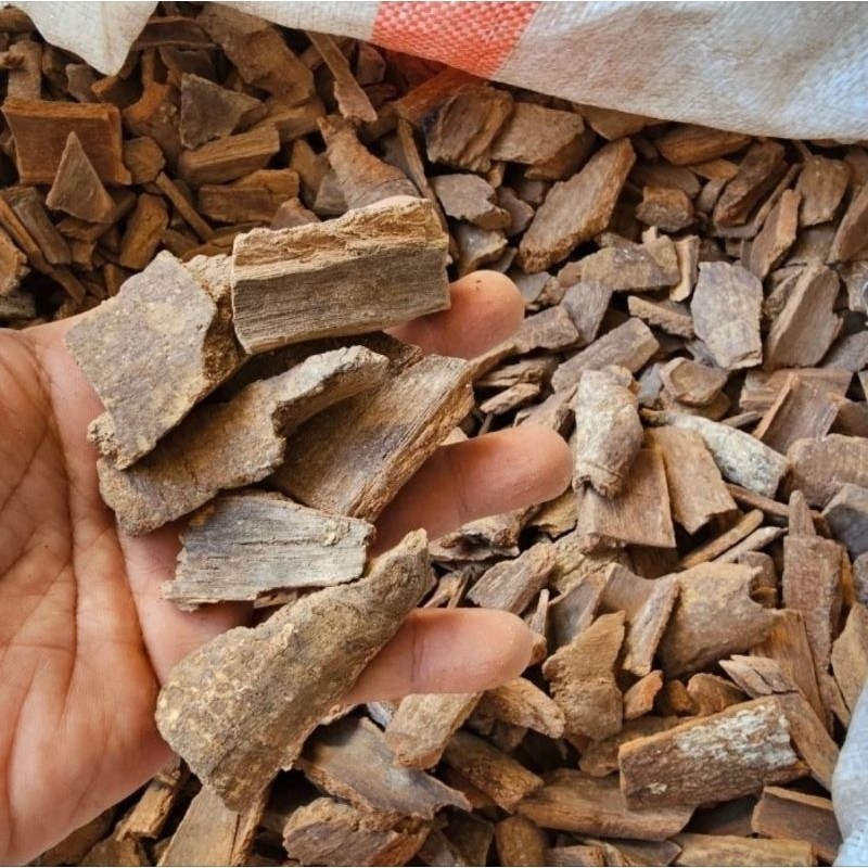 

Kulit Kayu Masoyi 1kg / Kulit Kayu Mesoyi / Kulit Kayu Masohi Asli Dan Murni