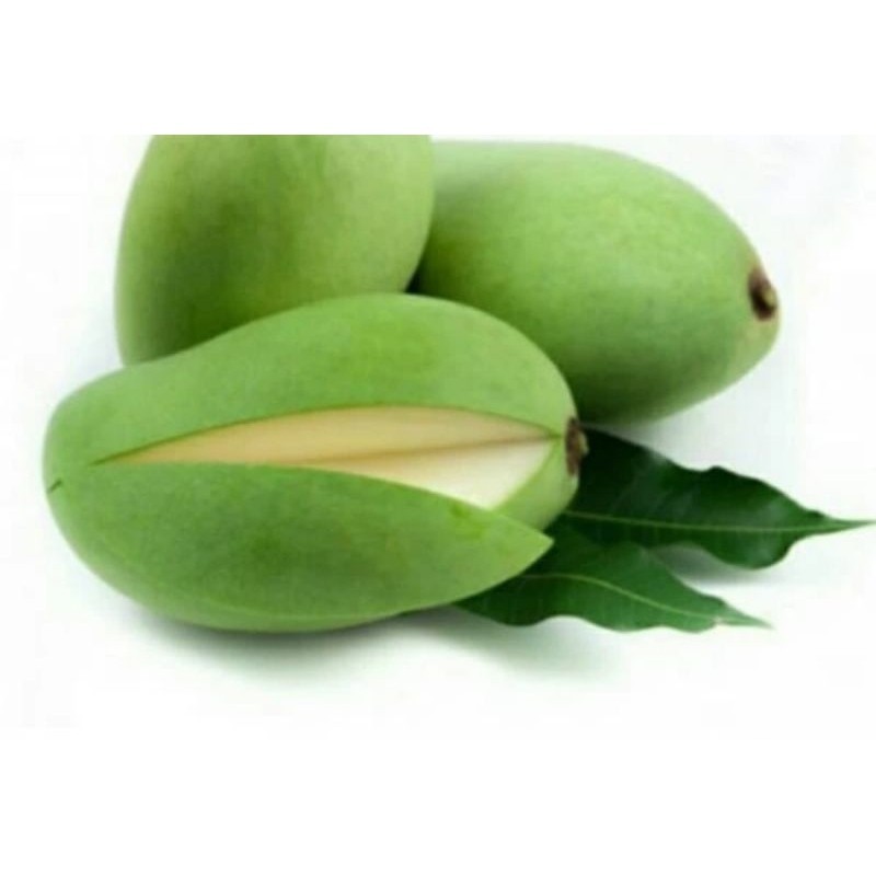 

mangga muda 1 kg - BEST Fresh Food