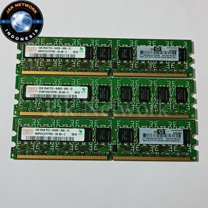 Ram server DDR 1GB 2Rx8 PC2-6400E