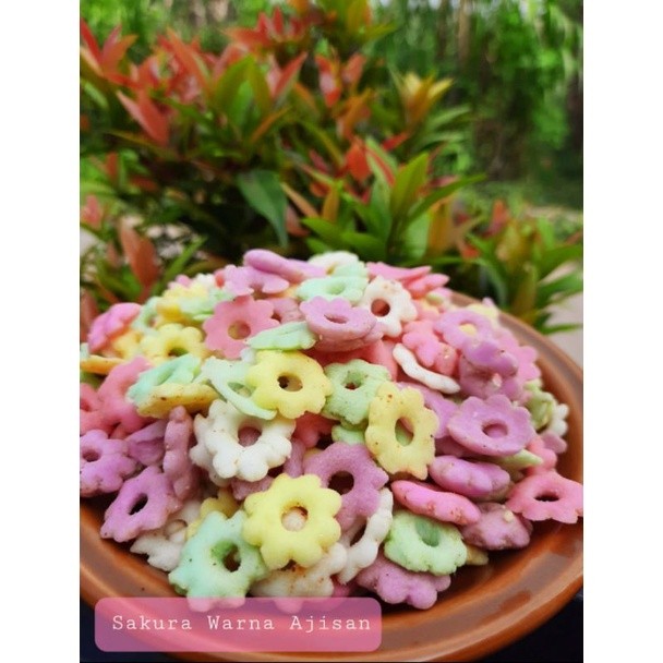 

Sakura Riri Ajisan 1/2 kiloan Termurah