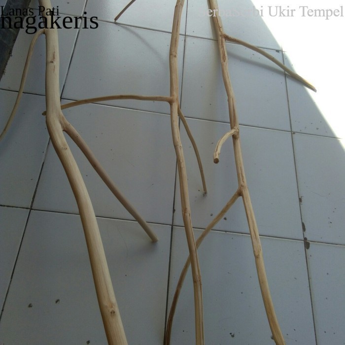 

Termurah ranting kayu jati cabang 100 cm - ranting kayu macrame FXN9 Murah XD8