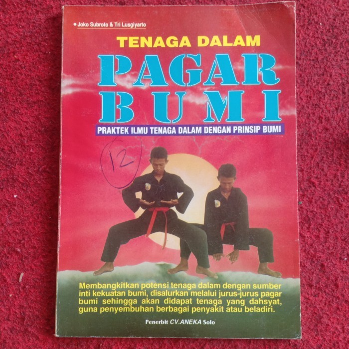 TENAGA DALAM PAGAR BUMI PRAKTEK ILMU TENAGA DALAM DENGAN PRINSIP BUMI