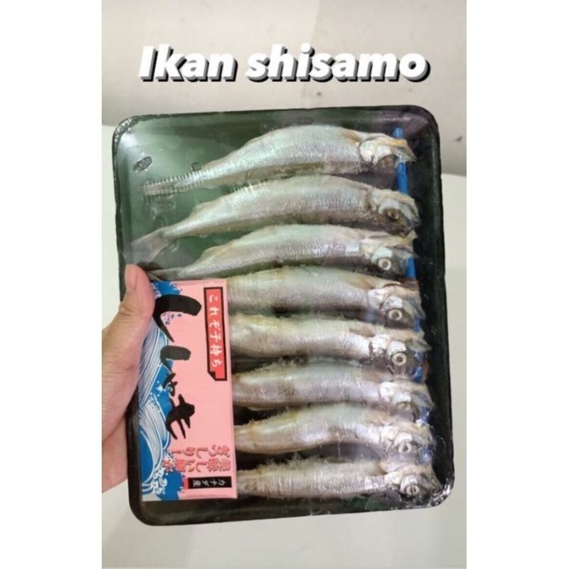 

Ikan Cipung Viral / Sishamo / Capelin