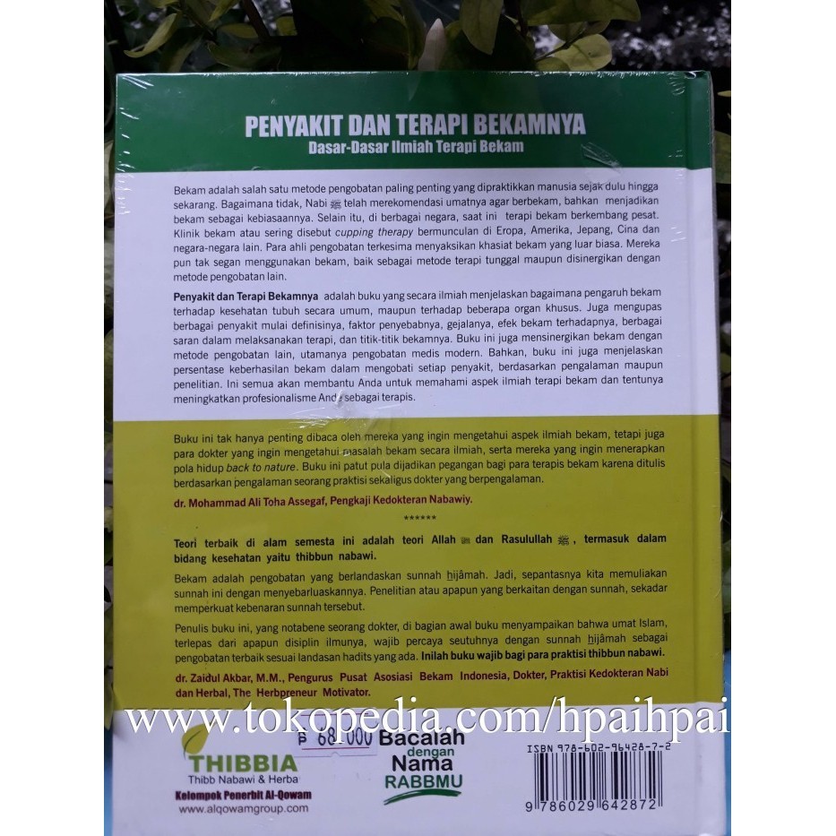 PROMO ~ Buku Penyakit dan Terapi Bekamnya / Buku Bekam