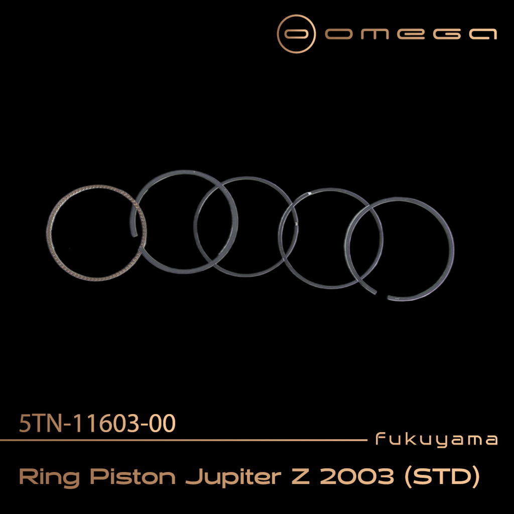 Fukuyama Ring Seher / Ring Piston Jupiter Z 03