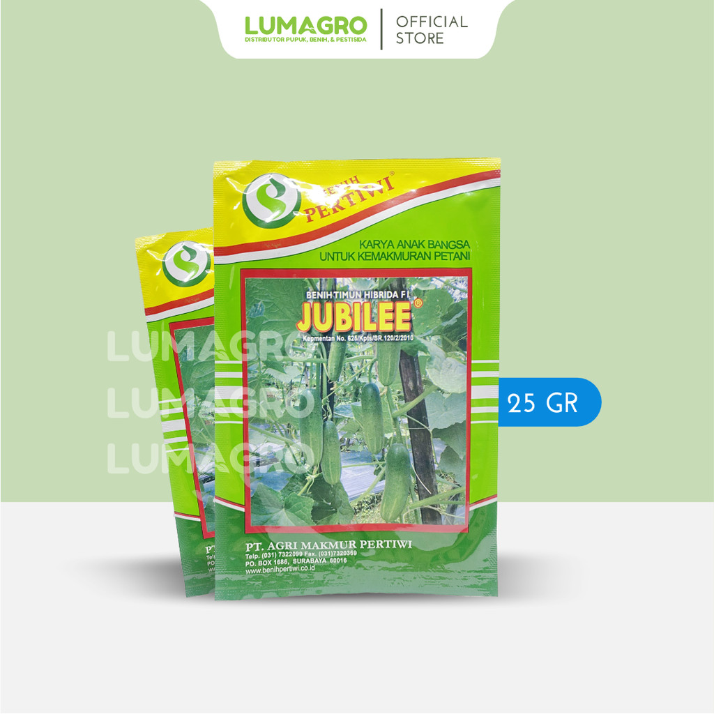 Benih Timun Jubilee Hibrida F1 25gr Pertiwi Bibit Mentimun Tahan Virus Kuning