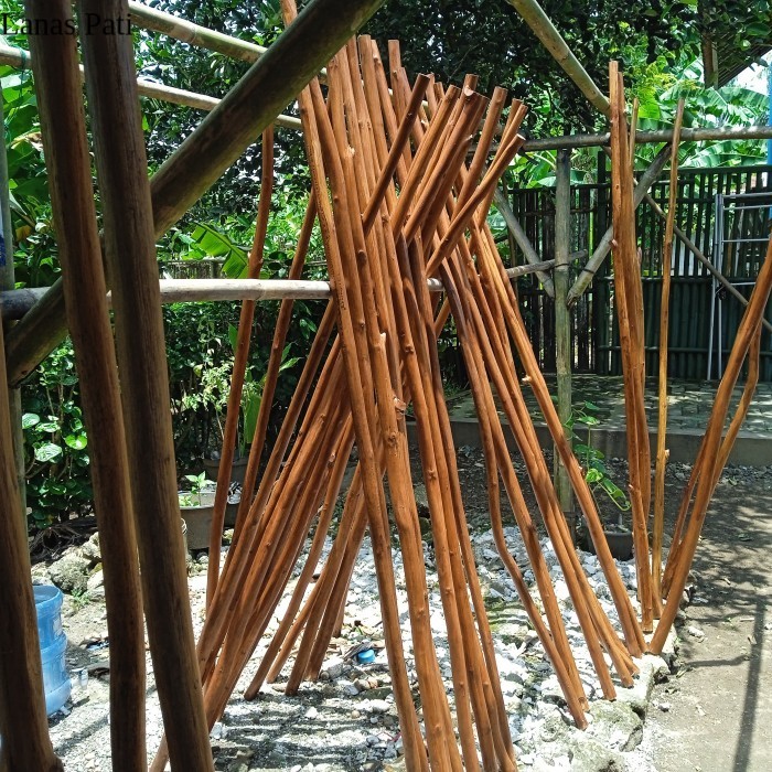 

Ranting Kayu Jati Bahan Dekorasi Macrame/250 cm /10*Batang Random XD3