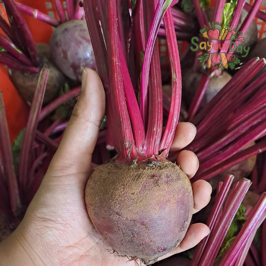 

BUAH BIT FRESH | BEET ROOT 500 GR - Sayur Segar Instan Malang