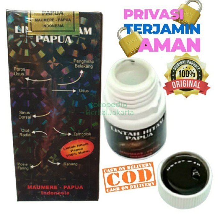 Minyak - Lintah - Papua - Hitam Pembesar Asli Original