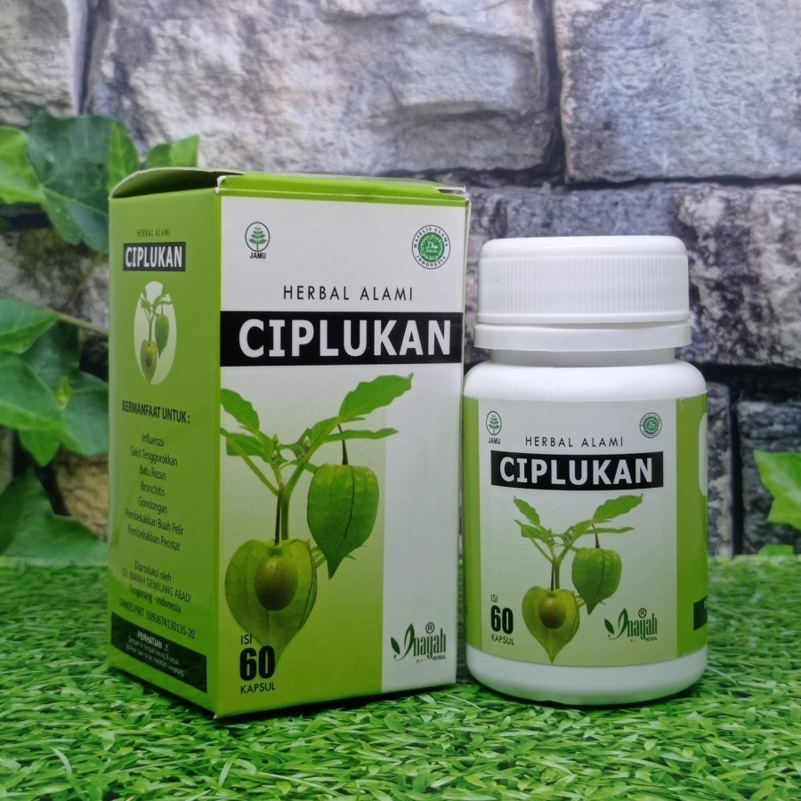 Ciplukan / Kapsul Daun Ciplukan 60 kapsul