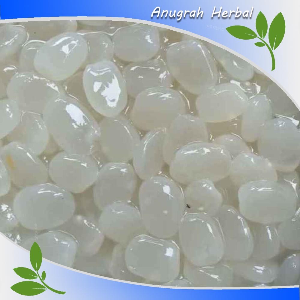 

PROMO SEGAR kolang Kaling Atau caruluk Fresh 1kg