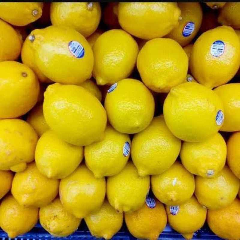 

Lemon Import Segar – Buah Premium, Kaya Vitamin C