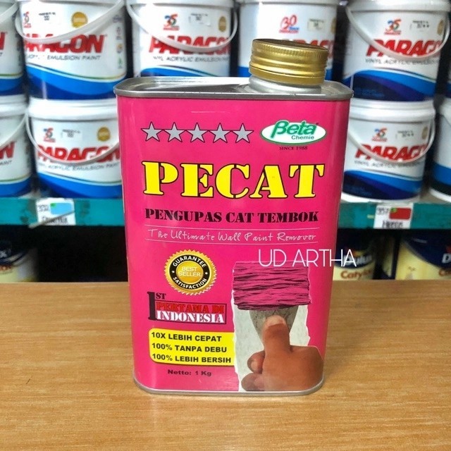 PECAT PENGUPAS CAT 1KG / REMOVER