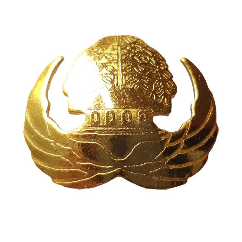 Pin Korpri Kuningan Resin