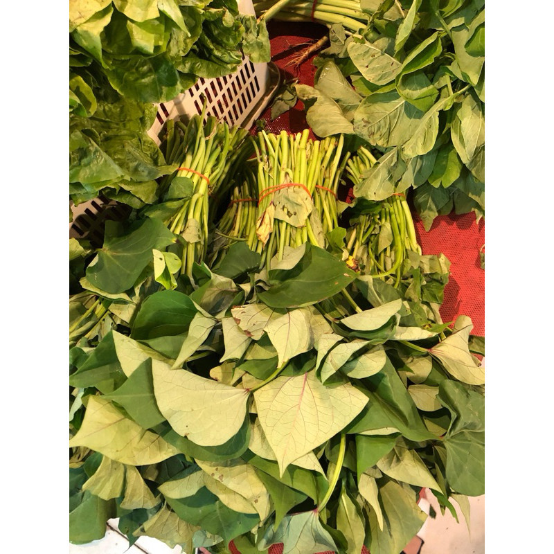 

DAUN UBI FRESH 1 IKAT