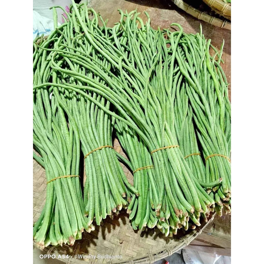 

kacang panjang press 500gr