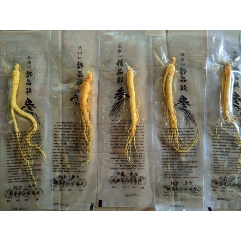 

Akar Ginseng Berat 20 Gram (COD)