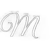 

the logo fee