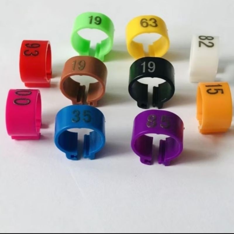 RING KLIP MERPATI DEWASA NO SERI