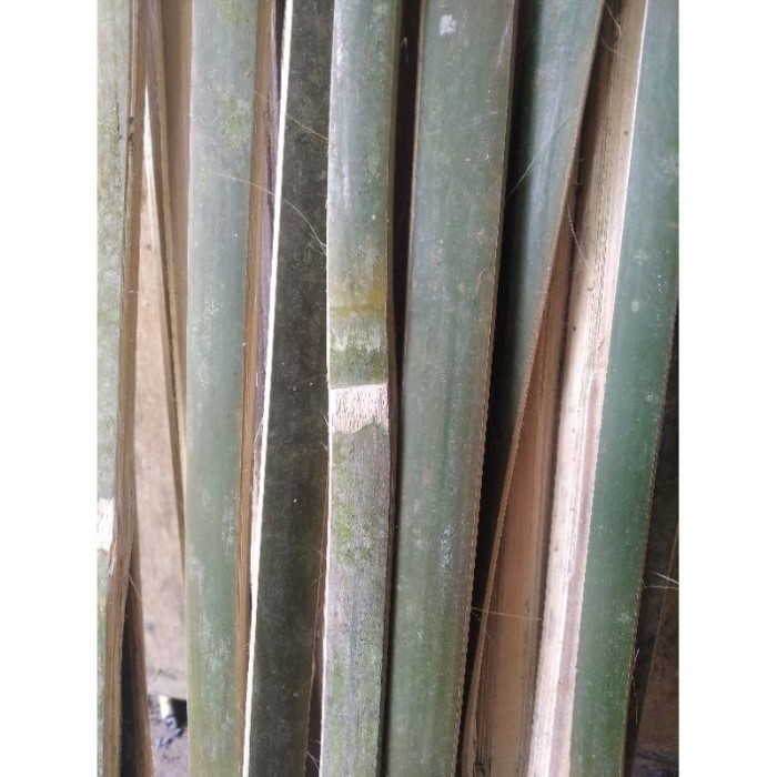 

BAMBU BILAH BAMBU AJIR PENYANGGA TANAMAN PANJANG 100CM LEBAR 2Cm .