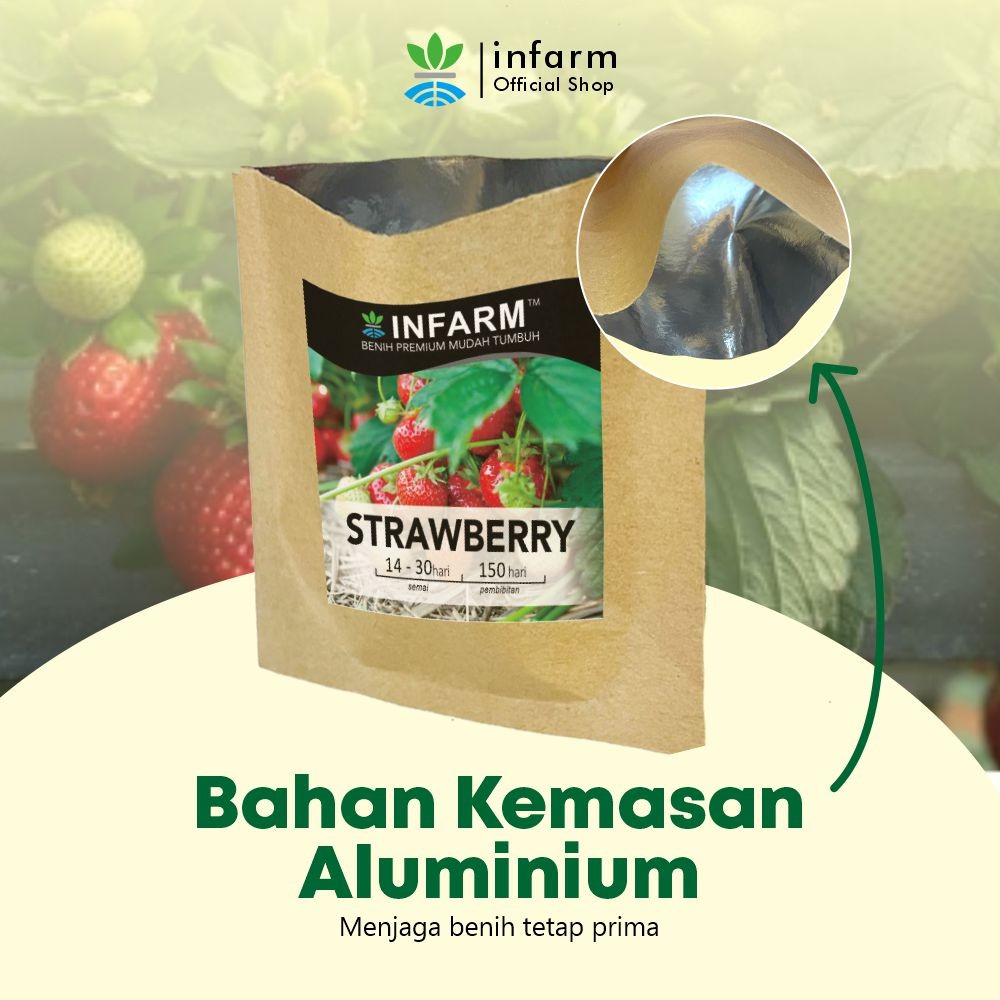 ID INFARM - BENIH BIBIT BIJI SUPER BUAH STRAWBERRY STROBERI (RED GIANT FRAGARIA ANANASSA)
