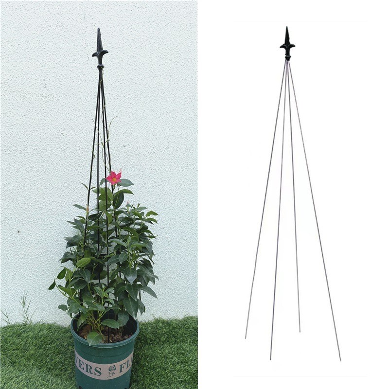 Rak Penopang Anggrek Bola Pergola Mendaki Taman Mawar Hijau Batang Penopang Anggrek Tanaman Bunga Ma