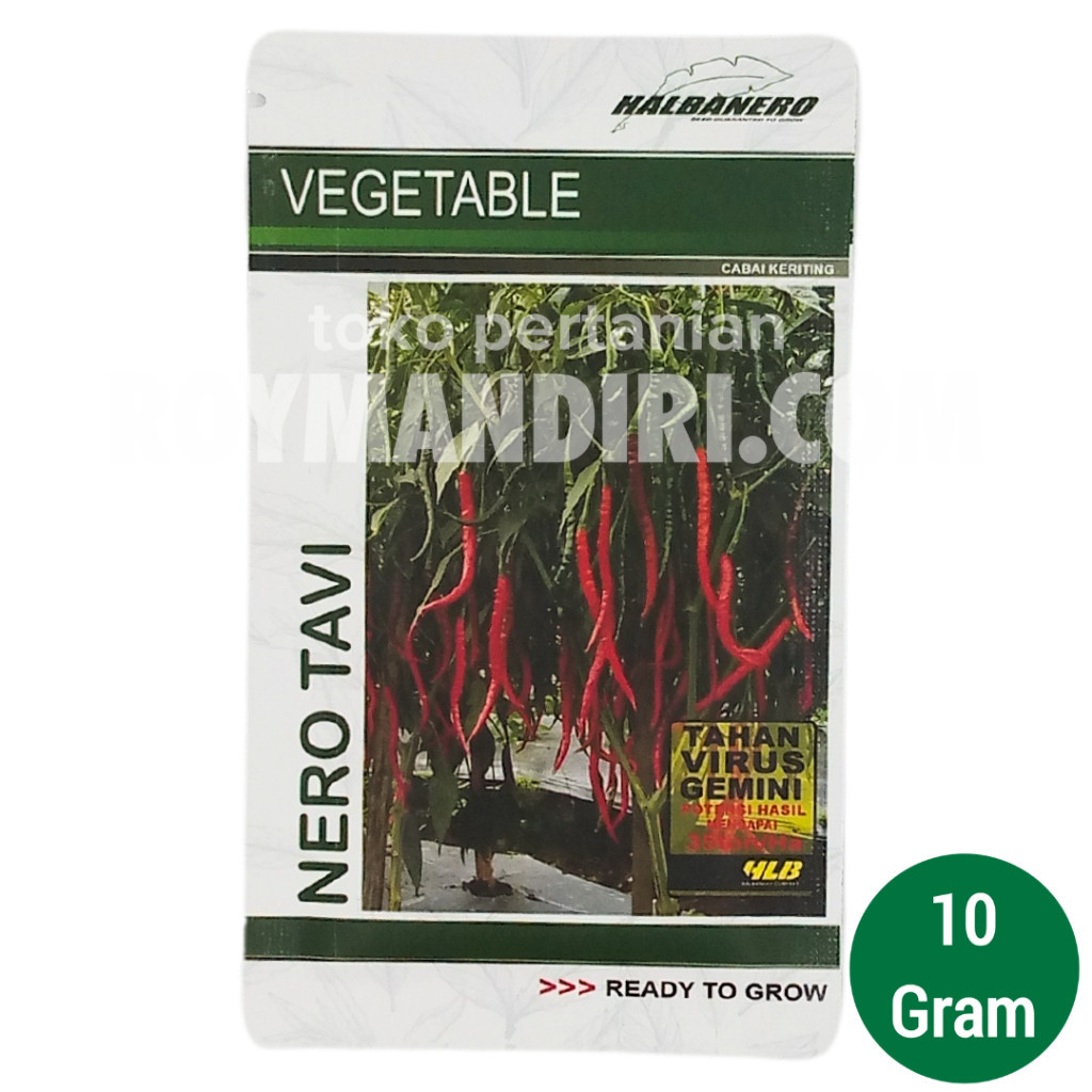 Benih Cabai Nero Tavi @10 gram