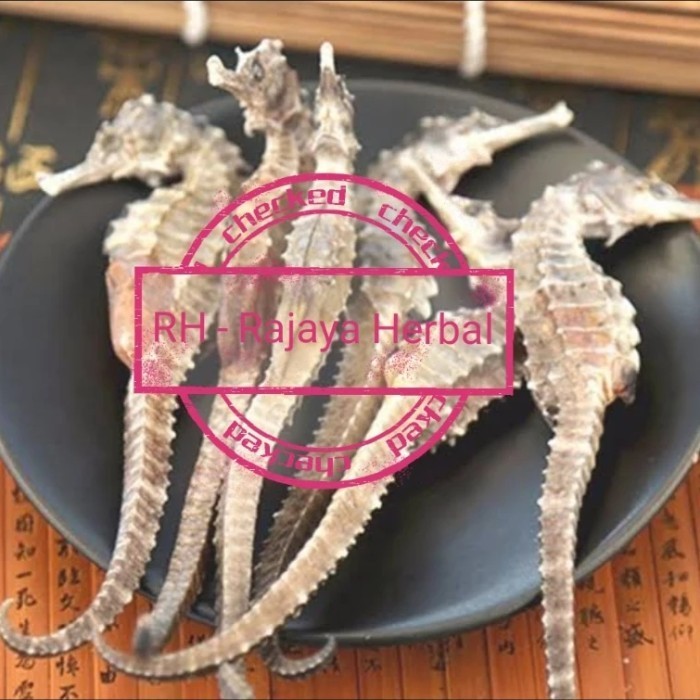 

King Hai Ma Kering 干海馬王 Kuda Laut