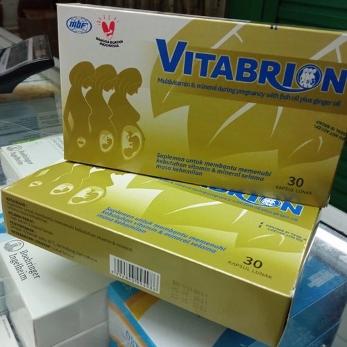 VITABRION BOX 30 KAPSUL