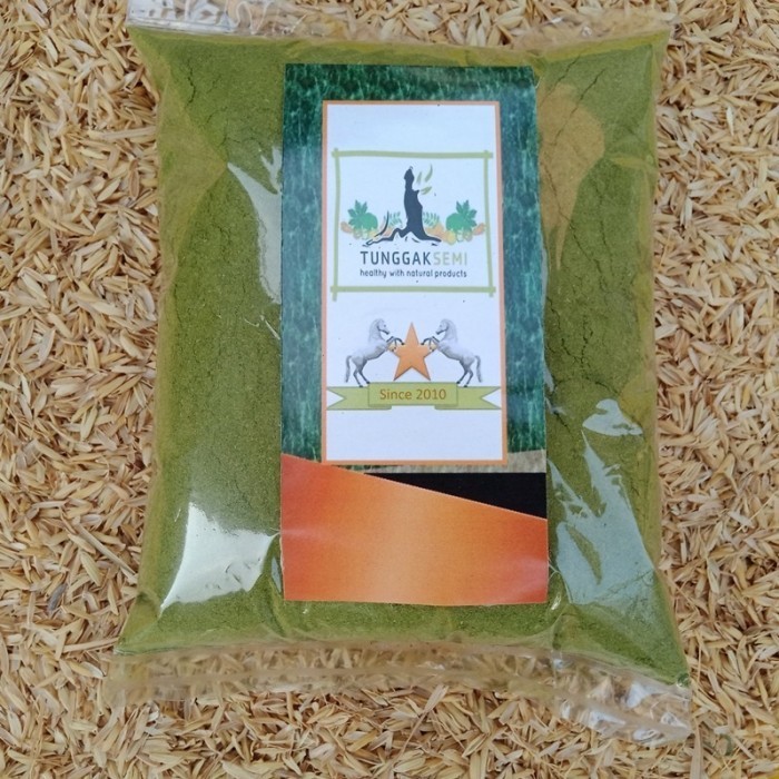 

OMH Terlaris [ 1 kg ] daun kelor bubuk kwalitas premium