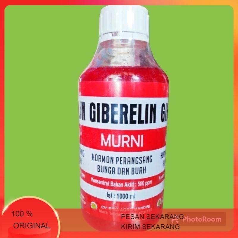 GIBERELIN MURNI KEMASAN 1 LITER
